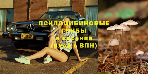 МДМА Медвежьегорск